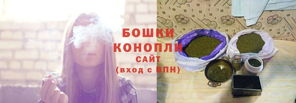 дмт Пестово