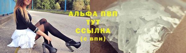 дмт Пестово