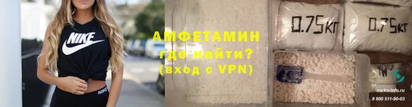 дмт Пестово