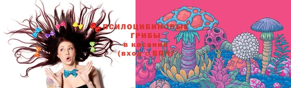героин Алексин