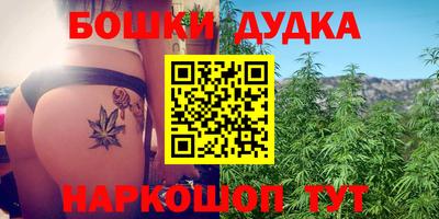 стаф Бузулук