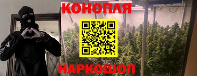 стаф Бузулук