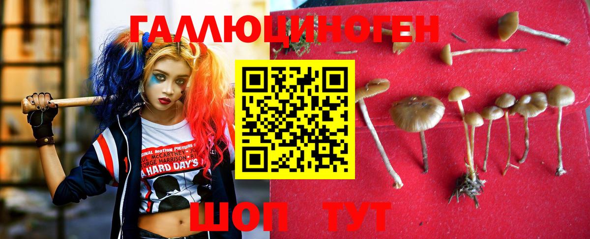 Псилоцибиновые грибы Psilocybe  Вход с VPN  Кудымкар  как найти закладки  Галлюциногенные грибы Psilocybine cubensis 