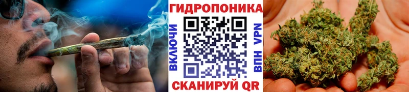 Шишки марихуана гибрид  Кудымкар 